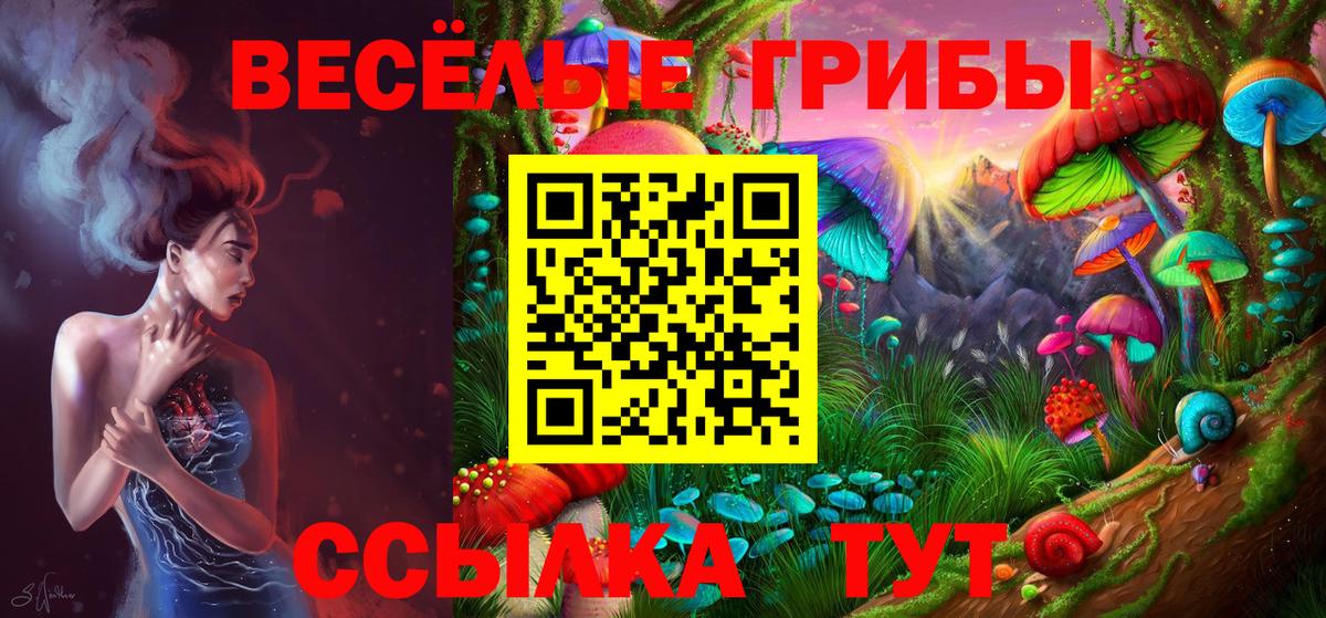 Слободской  Псилоцибиновые грибы мицелий  Вход с VPN 