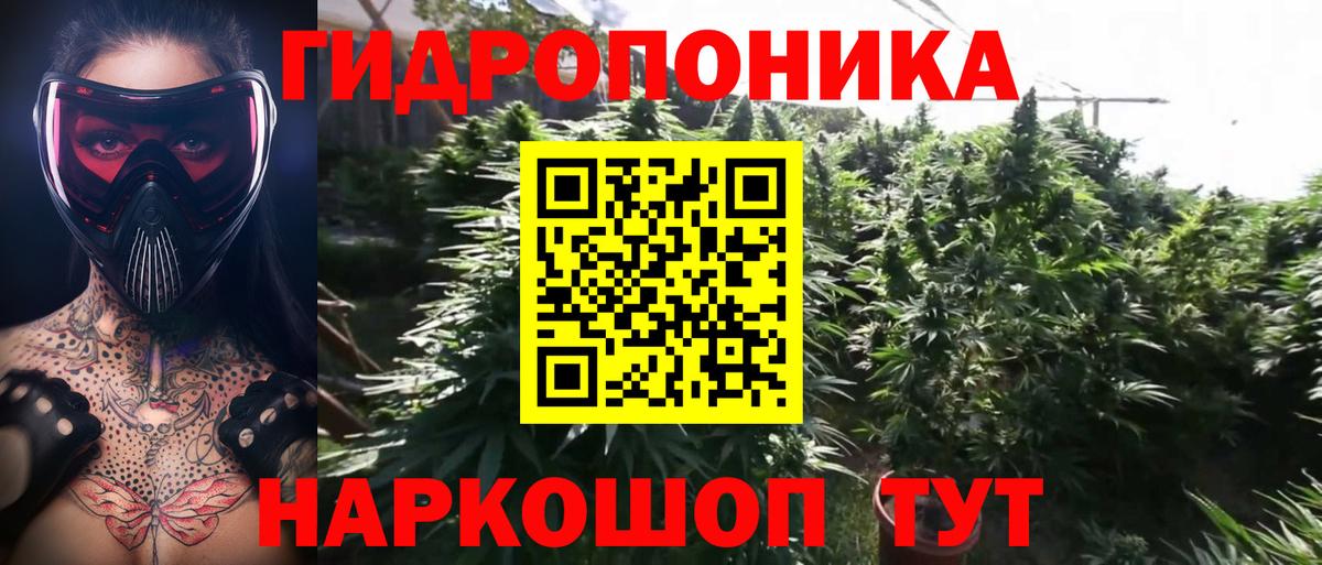 Бошки Шишки OG Kush Слободской